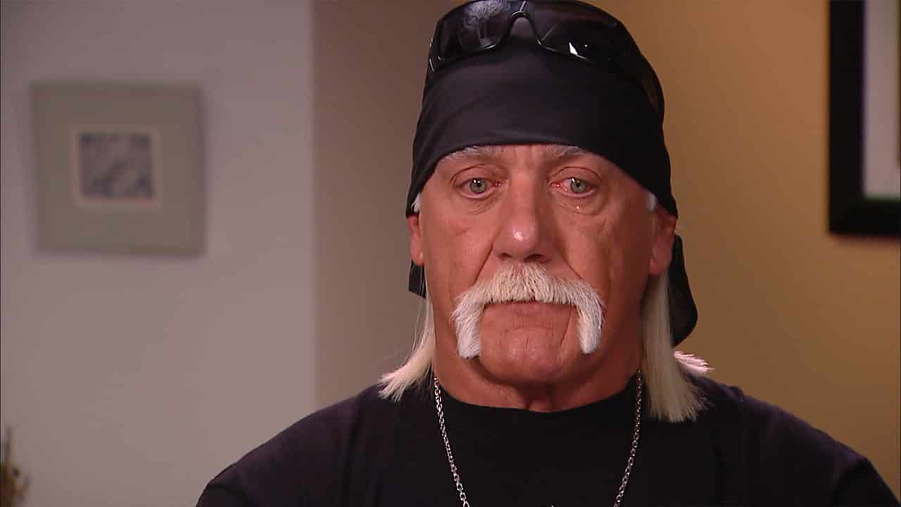 hulk hogan hulk hogan