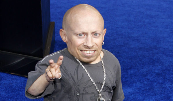 verne troyer
