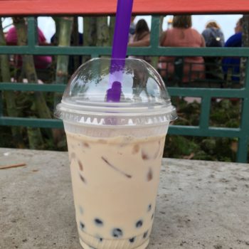 disney world epcot bubble tea