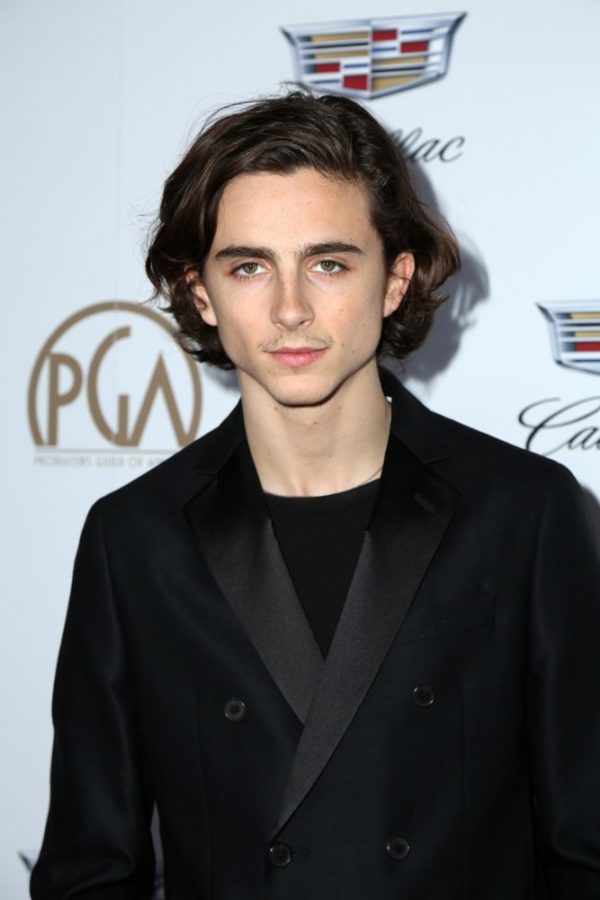 Timothée Chalamet in 2018