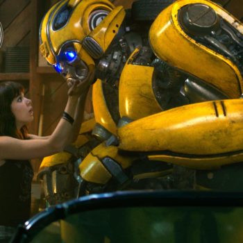 Bumblebee Still