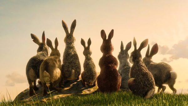 watership down capaldi pike