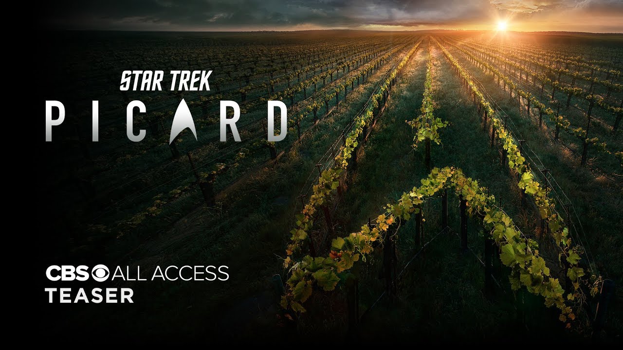 How to make oven baked wings Star trek picard official teaser